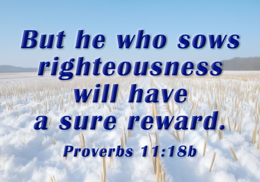 Pursuit Of Righteousness